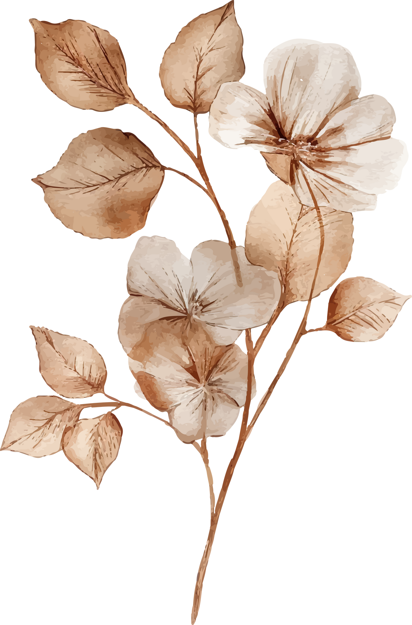 Aesthetic Brown Flower Watercolor